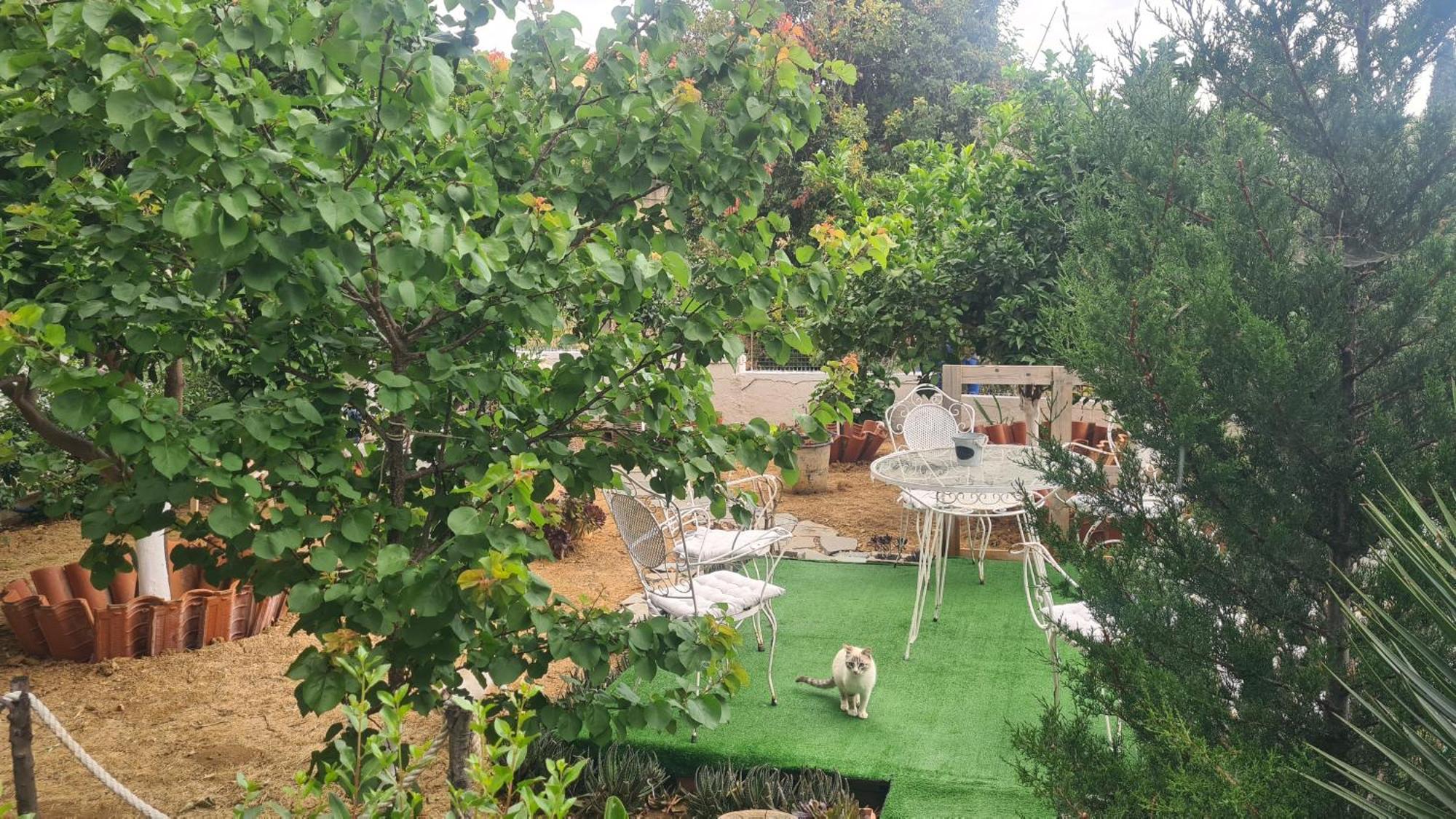 Stratigato Villa Sakız Dış mekan fotoğraf